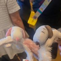    ユニバ不足発症中