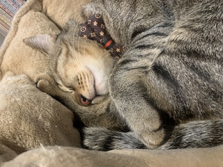 癒しをどうぞ♡