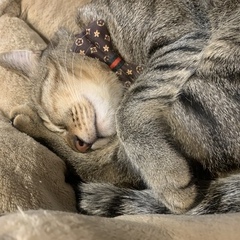 癒しをどうぞ♡