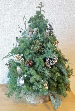 オーストラリアにいってきます!