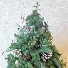 オーストラリアにいってきます！