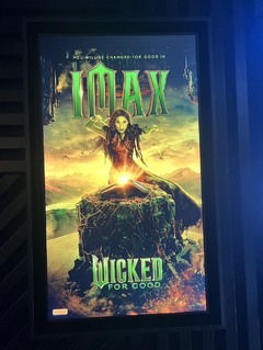 こんばんは、春野きなこです。 オーストラリア旅を満喫しており