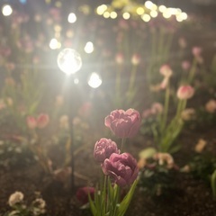 出勤しました！