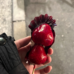 おはようございます！