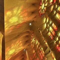 帰国しました！