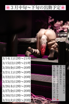 ３月中旬〜下旬の出勤予定です！