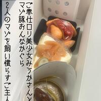 2人のマゾを飼い慣らして…