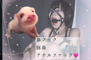 かぐらの調教日記「鼻フックAF」