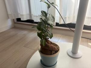 私のお気に入り