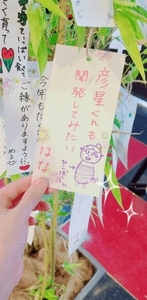 なな