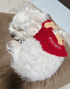 おやすみします