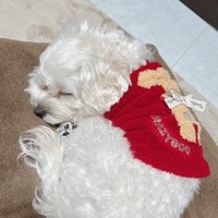 おやすみします