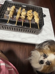 犬焼き鳥