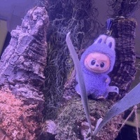 も