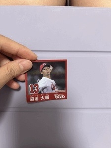 写真何回撮っても荒くなるなぁ