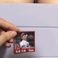 写真何回撮っても荒くなるなぁ