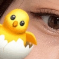目