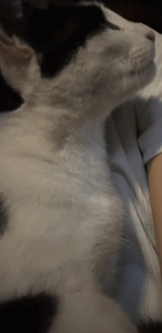 おはよー！