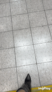 まごころ