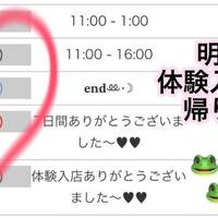 明日  帰ります