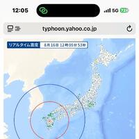 揺れた 
