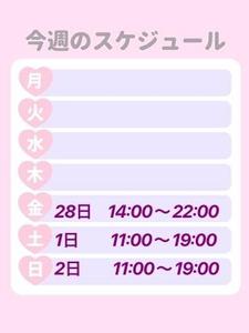 スケジュール