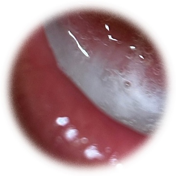 隷の喉に流し込まれる快感