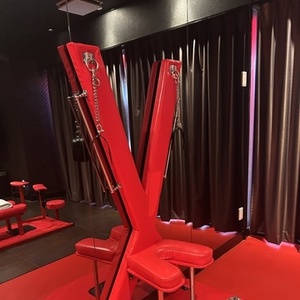 調教待ちですね‥