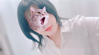 出勤したよ