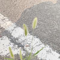おはようございます