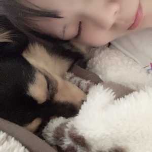 いいねを押して､､｡