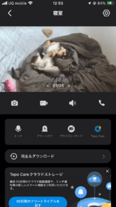 昨日の、続き、、。