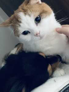 今日は、パタパタしてて、、。