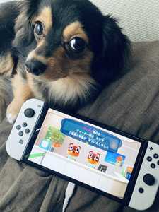 わたしは、はじめました、、。