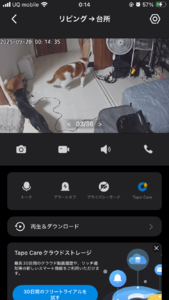 ♡♡渋滞中、、。