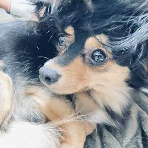 ♡♡っぽい、、。