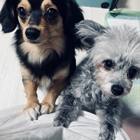 ちょっと、、。