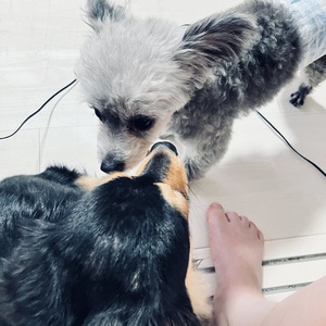 ぜんぜん、、。