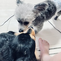 ぜんぜん、、。