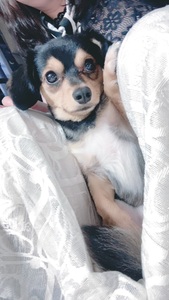 そろそろ、、。