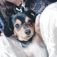 そろそろ、、。