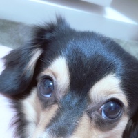 (タイトルなし)