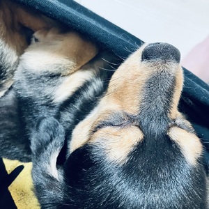 ポジション、、。