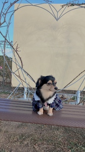 (タイトルなし)