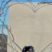 (タイトルなし)