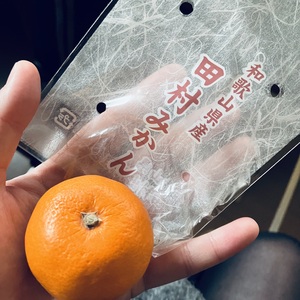 おもちゃみたい、、。