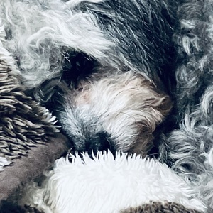 (タイトルなし)