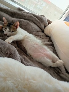 初めまして🙇‍♀️