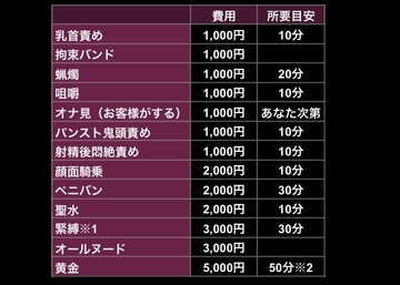 🥀貴方好みのプレイ内容にアレンジ可能です🥀