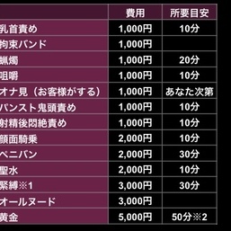 🥀貴方好みのプレイ内容にアレンジ可能です🥀